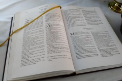 20180422_163122 (Copy)