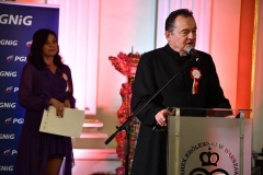 45441974_562887737496421_8831785063726186496_n