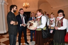 45506204_692395437801512_3112106673884364800_n