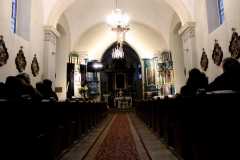 IMG_8476 (Copy)