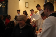 IMG_9485-Copy